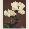 Habrdaceous Peony Plakat (21x29.7 cm (A4))