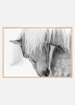 Halflinger Portrait Plakat (21x29.7 cm (A4))