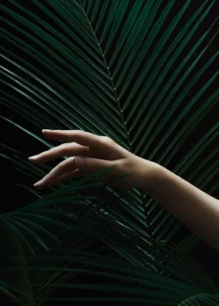 Handing a leaf Plakat (21x29.7 cm (A4))