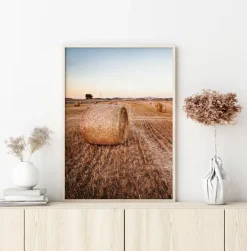Hay Fields Plakat (21x29.7 cm (A4))