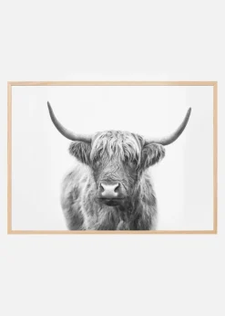 Highland Bull Plakat (21x29.7 cm (A4))