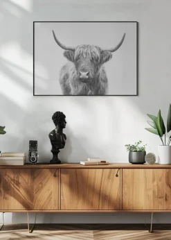 Highland Bull Plakat (21x29.7 cm (A4))