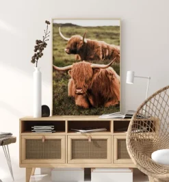 Highland Cattle Plakat (21x29.7 cm (A4))