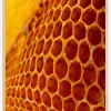 Honey Plakat (21x29.7 cm (A4))