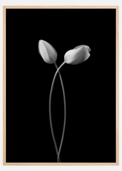 Hug Plakat (21x29.7 cm (A4))