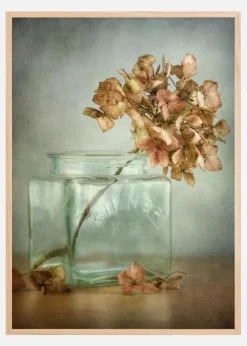 Hydrangea Plakat (21x29.7 cm (A4))