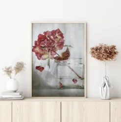 Hydrangea Plakat (21x29.7 cm (A4))