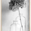 Hydrangea Plakat (21x29.7 cm (A4))