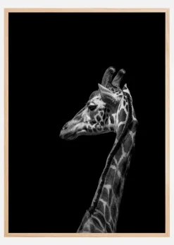 I'm not happy Plakat (21x29.7 cm (A4))