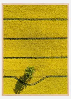 In My Way Plakat (21x29.7 cm (A4))