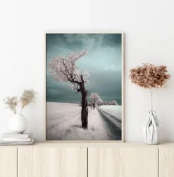 Irenka Plakat (21x29.7 cm (A4))