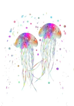 Jellyfishes stingers Plakat (21x29.7 cm (A4))