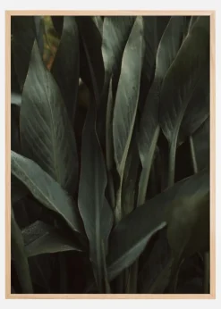 Jungle Plakat (21x29.7 cm (A4))