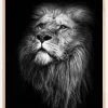 King Of Lions Plakat (21x29.7 cm (A4))