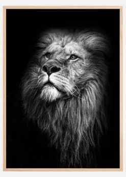 King Of Lions Plakat (21x29.7 cm (A4))