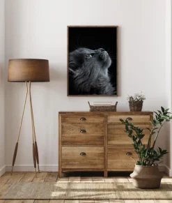 Kitten Plakat (21x29.7 cm (A4))