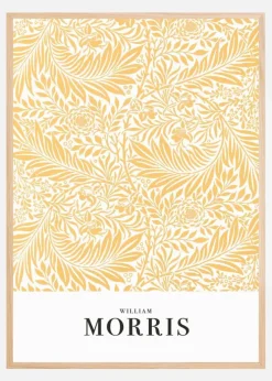 Larkspur Plakat (21x29.7 cm (A4))