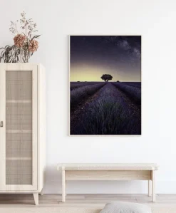 Lavender Fields Plakat (21x29.7 cm (A4))