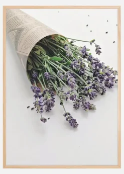 Lavender Plakat (21x29.7 cm (A4))
