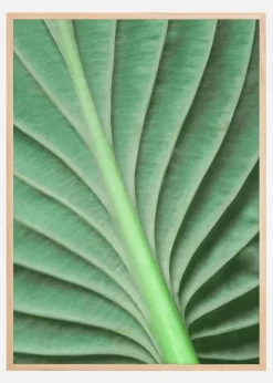 Leaf Plakat (21x29.7 cm (A4))