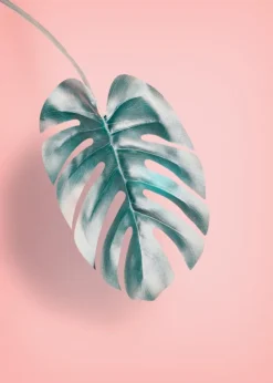 Leaf Plakat (21x29.7 cm (A4))