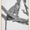 Leopard Portrait Plakat (21x29.7 cm (A4))