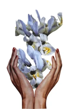 Liberate Plakat (21x29.7 cm (A4))