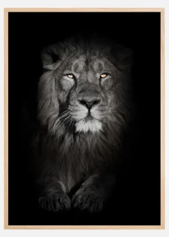 Lion in black and white Plakat (21x29.7 cm (A4))