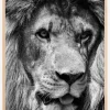 Lion King Plakat (21x29.7 cm (A4))