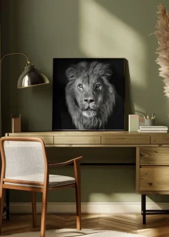 Lion Portrait- Panthera Leo Plakat (30x30 cm)