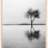 Lonely Tree Reflection Plakat (21x29.7 cm (A4))