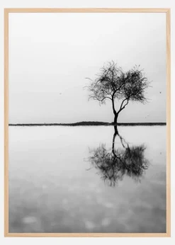 Lonely Tree Reflection Plakat (21x29.7 cm (A4))