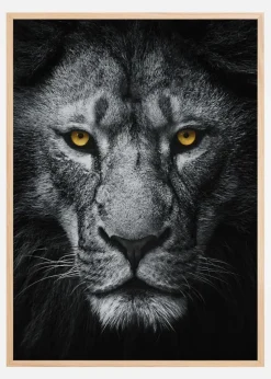 Look At Me Plakat (21x29.7 cm (A4))