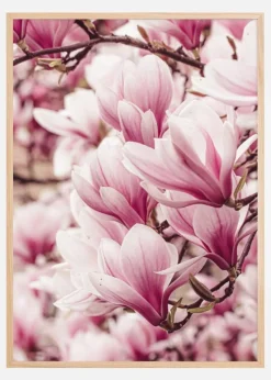 Magnolia Tree Plakat (21x29.7 cm (A4))