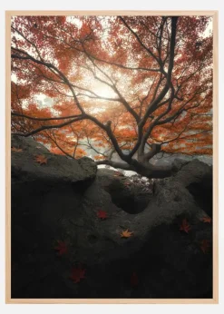 Maple Plakat (21x29.7 cm (A4))