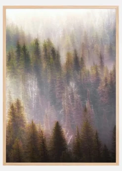 Misty Mood in the Forest Plakat (21x29.7 cm (A4))
