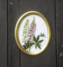 Molly ramme Oval Guld 24x30 cm