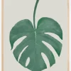 Monstera Aqua Plakat (21x29.7 cm (A4))