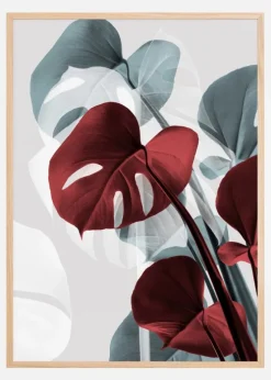 Monstera Creative II Plakat (21x29.7 cm (A4))