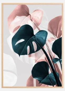 Monstera Creative III Plakat (21x29.7 cm (A4))