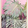 Monstera leaf La Muralla Plakat (21x29.7 cm (A4))
