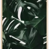 Monstera Plant I Plakat (21x29.7 cm (A4))