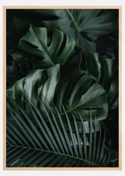 Monstera Plant II Plakat (21x29.7 cm (A4))