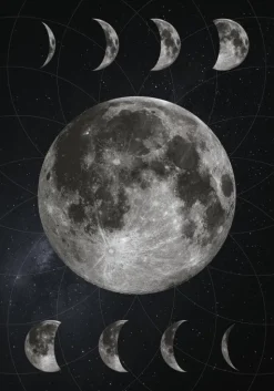 Moon Phases Plakat (21x29.7 cm (A4))
