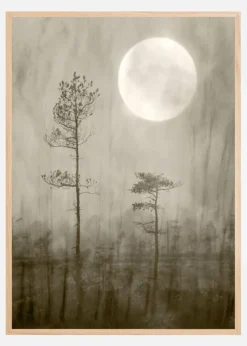 Moonlight Plakat (21x29.7 cm (A4))