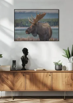 Moose Plakat (21x29.7 cm (A4))