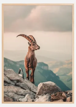 Mountain Goat Plakat (21x29.7 cm (A4))