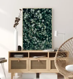 Muehlenbeckia Plakat (21x29.7 cm (A4))