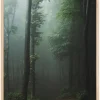 Mysterious forest Plakat (21x29.7 cm (A4))