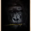 Mysterious gorilla Plakat (21x29.7 cm (A4))